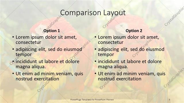 Comparison presentation slide layout
