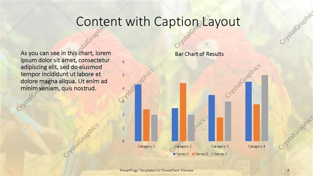 Content with Caption presentation slide layout