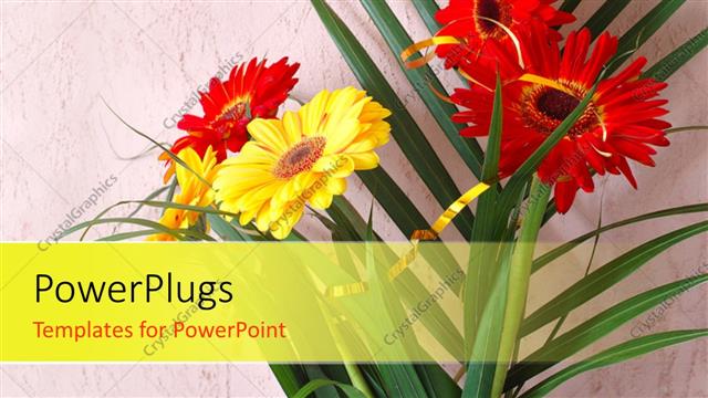  Presentation with palm leaves - Palm leaves with red and yellow daisies on rough background