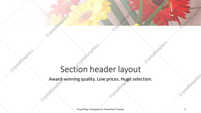 Section Header presentation slide layout