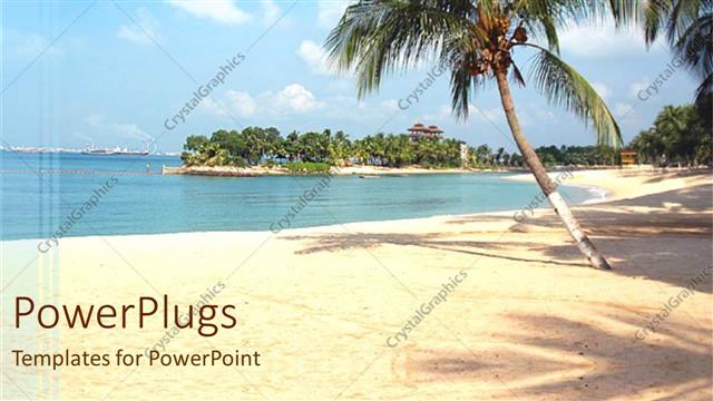  Presentation with palm tree - A palm tree on the beach with greenery