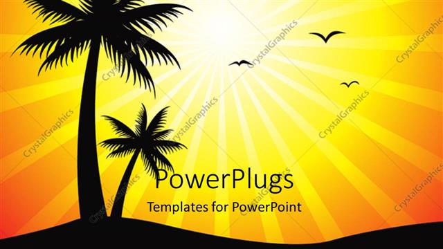  Presentation with palm tree - A palm tree with birds and sun in the background