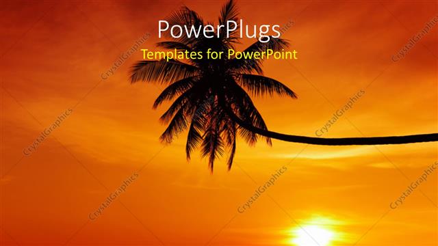  Presentation with palm tree - A palm tree with a sunset in the background
