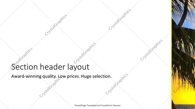 Section Header presentation slide layout