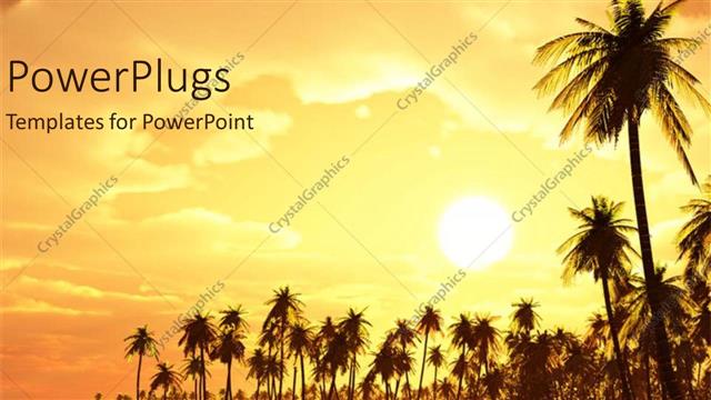  Presentation with dream - Palm trees on a beach with sunset in the background