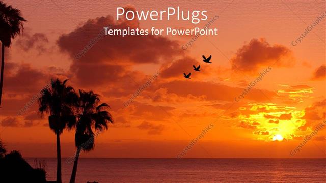  Presentation with birds flying - Palm trees on beach at sunset with three birds flying across the sky