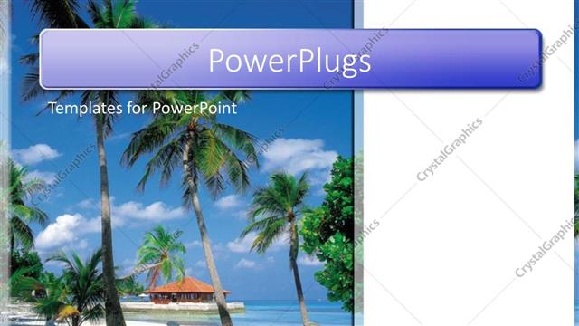  Presentation with palm beach - Palm trees on tropical beach, travel, island