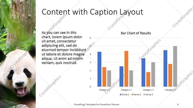 Content with Caption presentation slide layout