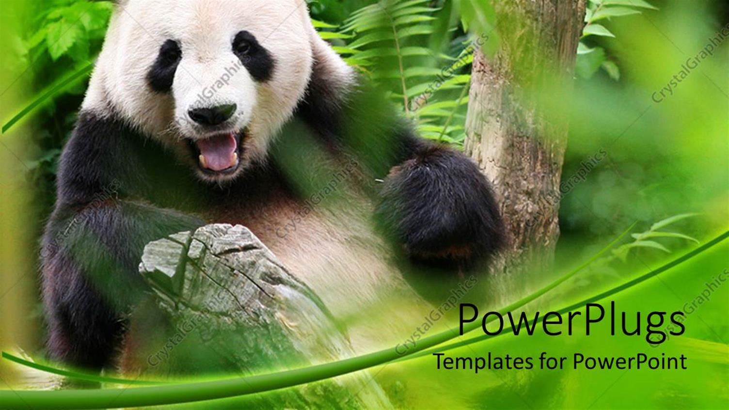 Premium Template for PowerPoint & Google Slides 