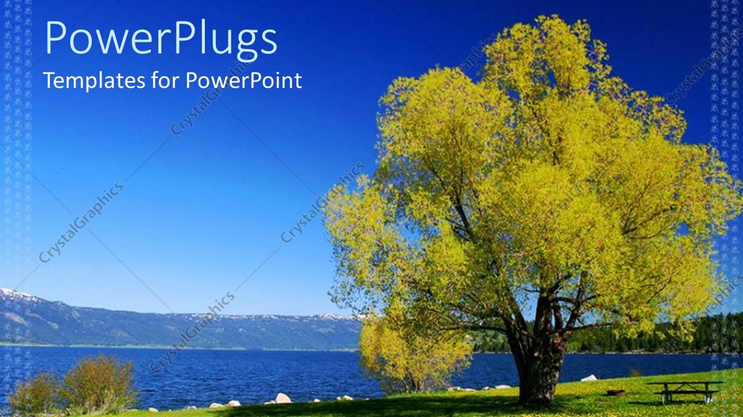 Premium Template for PowerPoint & Google Slides 