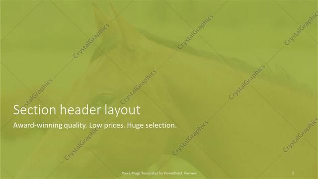 Section Header presentation slide layout