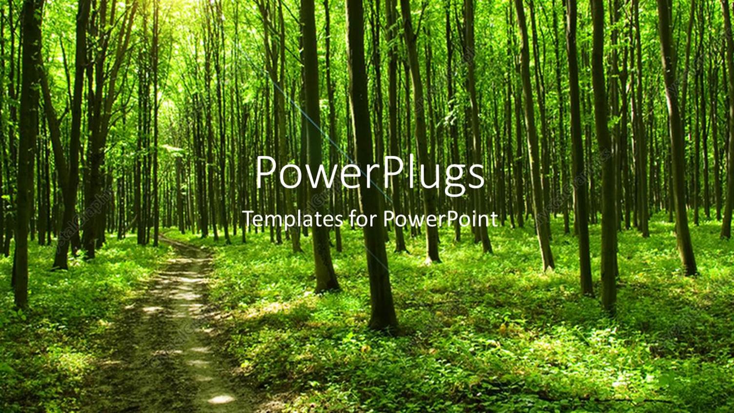 Premium Template for PowerPoint & Google Slides 