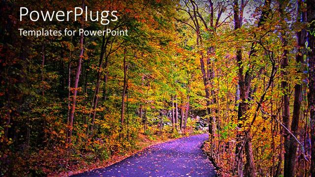  Presentation with woods - Paved path through woods in autumn