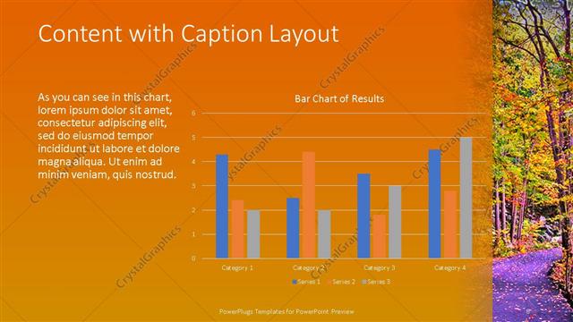 Content with Caption presentation slide layout