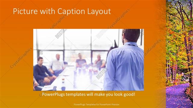 Picture with Caption presentation slide layout