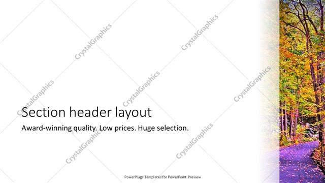 Section Header presentation slide layout