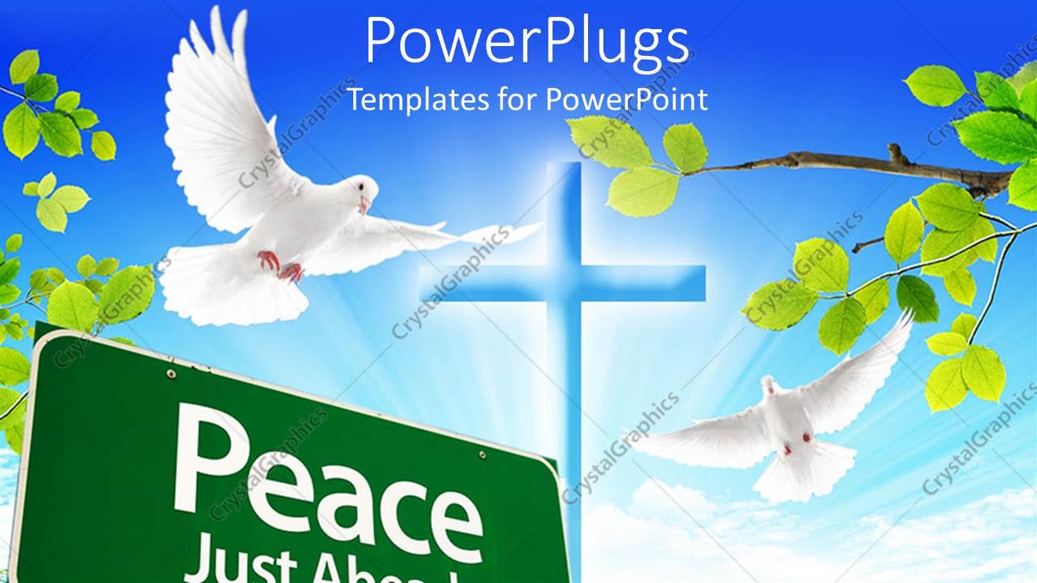 Premium Template for PowerPoint & Google Slides 