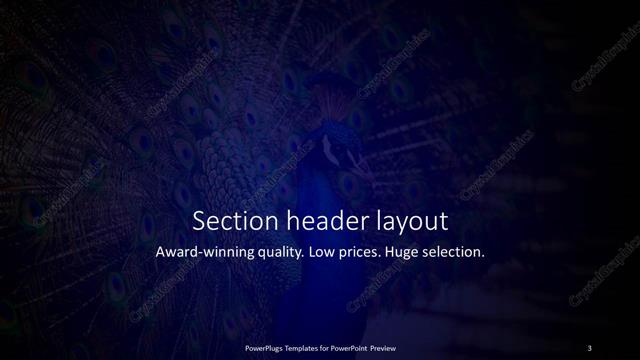 Section Header presentation slide layout