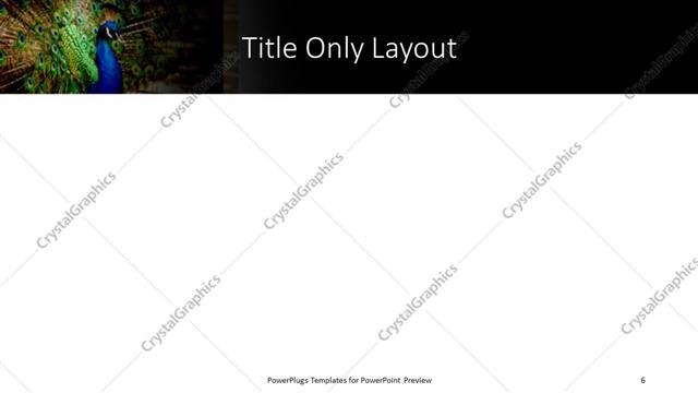 Title Only presentation slide layout