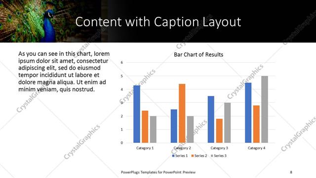 Content with Caption presentation slide layout