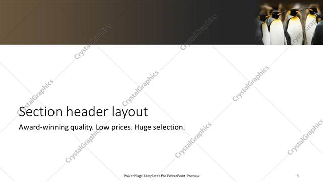 Section Header presentation slide layout