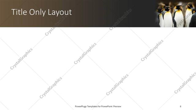 Title Only presentation slide layout