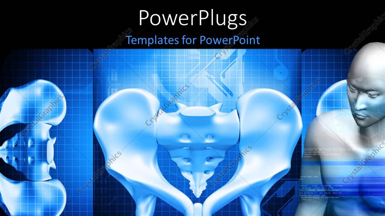 Premium Template for PowerPoint & Google Slides 