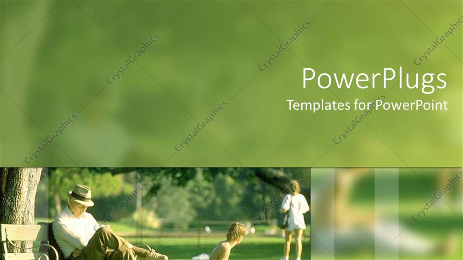 Premium Template for PowerPoint & Google Slides 