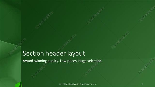 Section Header presentation slide layout