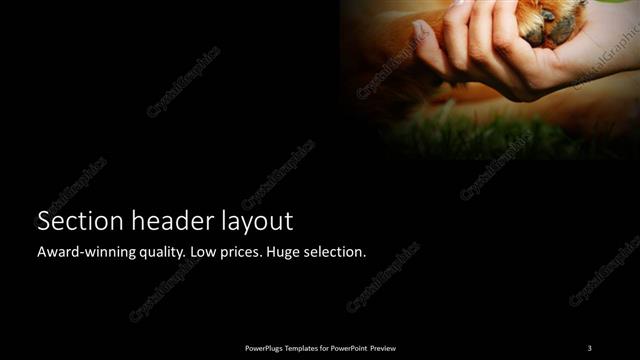 Section Header presentation slide layout