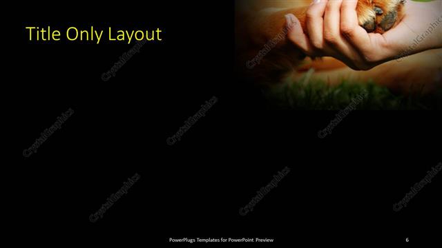 Title Only presentation slide layout