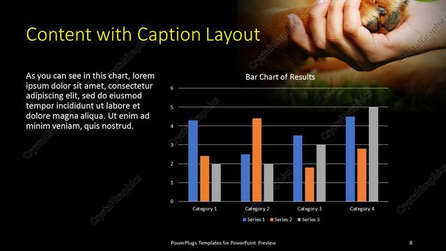 Content with Caption presentation slide layout