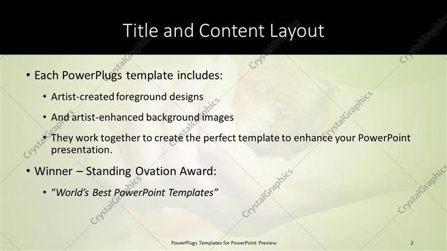 Title and Content presentation slide layout