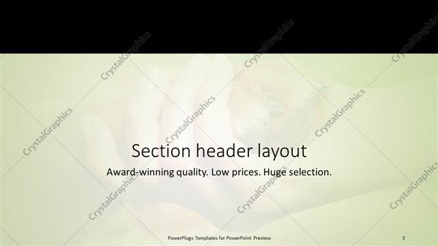 Section Header presentation slide layout