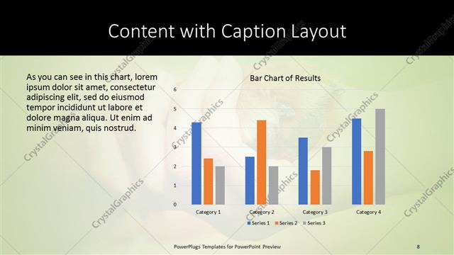 Content with Caption presentation slide layout