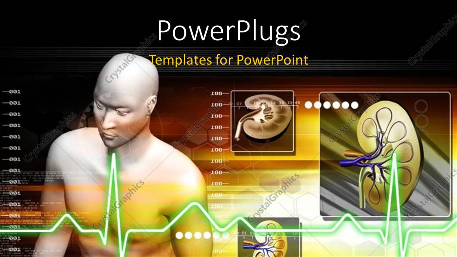 Premium Template for PowerPoint & Google Slides 