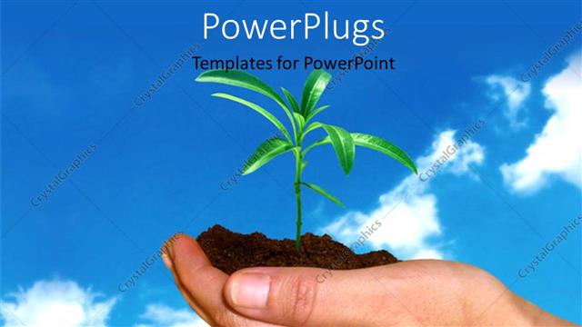  Presentation with life - A person with a plant in his hand