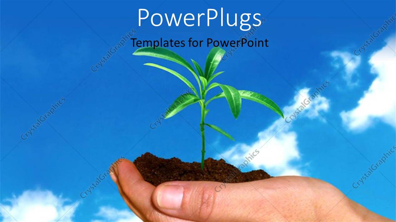 Premium Template for PowerPoint & Google Slides 