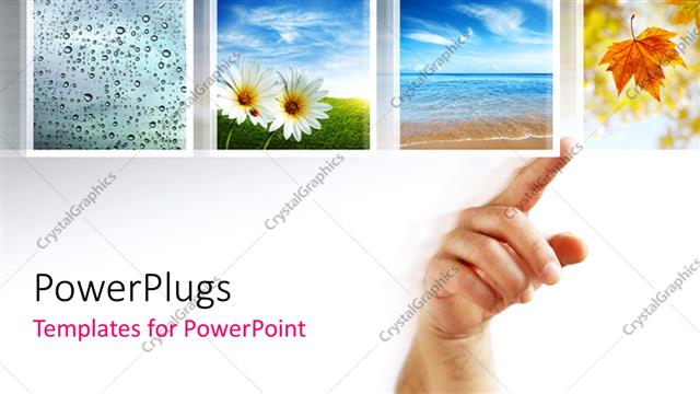  Presentation with touch screen - A person pointing towards various figures of leaves