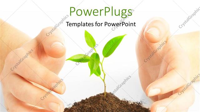  Presentation with growth - A person protecting a plant with white background