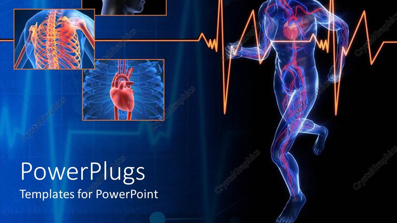 Premium Template for PowerPoint & Google Slides 