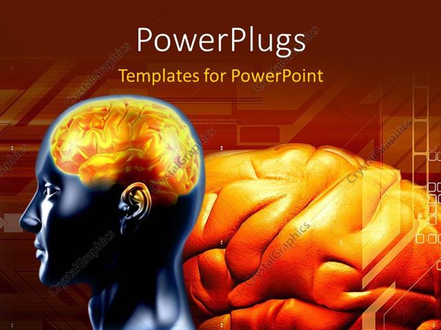  Presentation with brain - A person's brain with reddish background