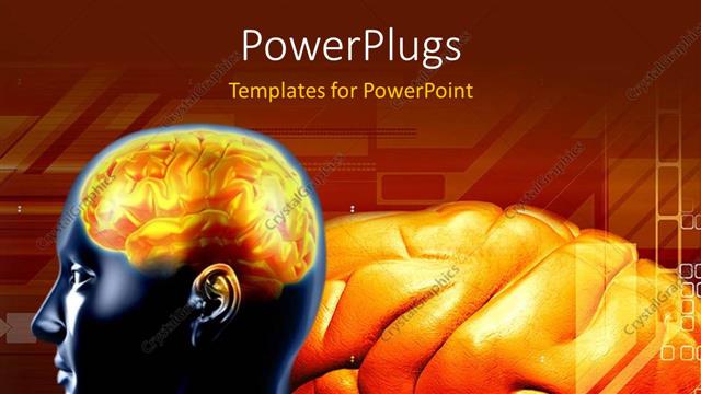  Presentation with brain - A person's brain with reddish background