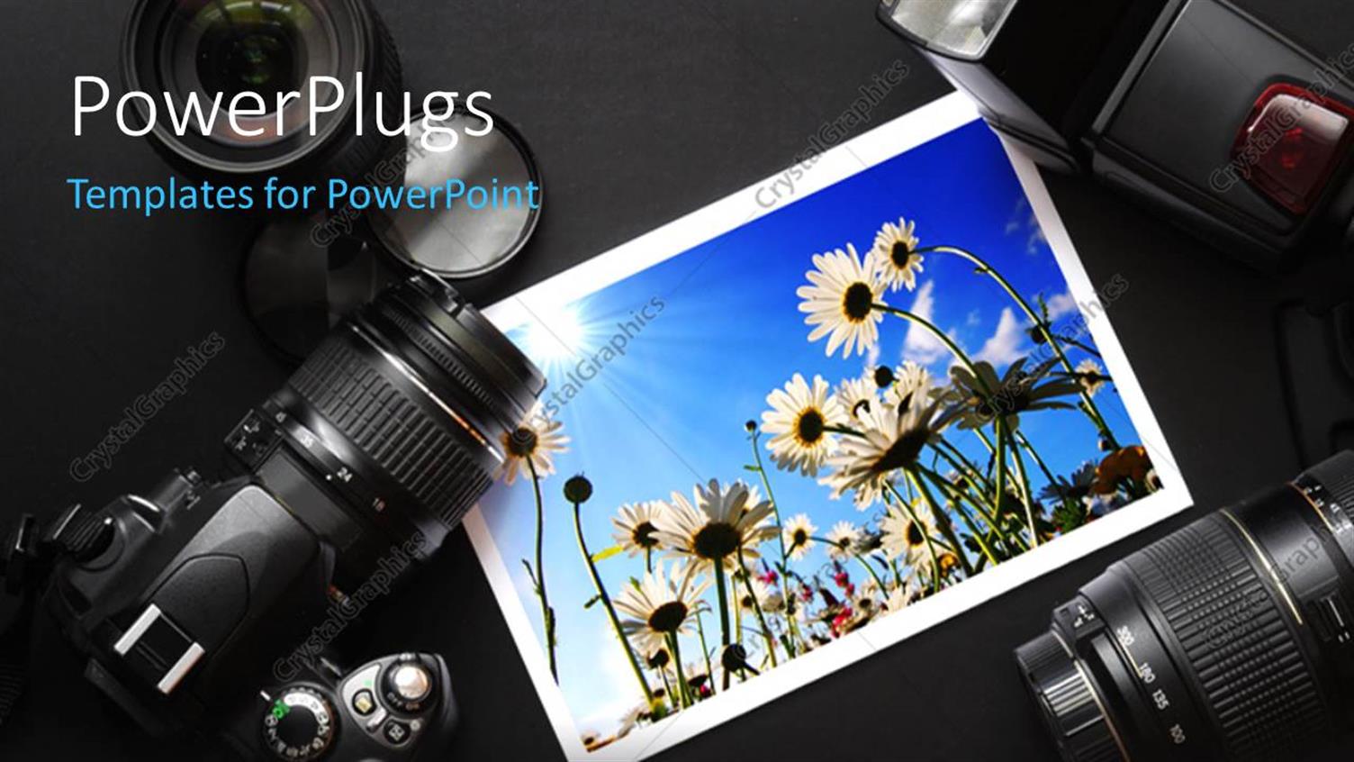 Premium Template for PowerPoint & Google Slides 