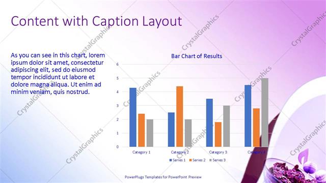 Content with Caption presentation slide layout