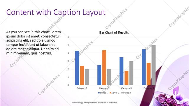 Content with Caption presentation slide layout