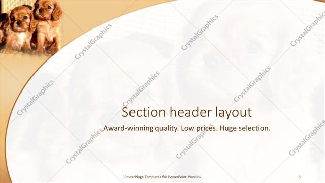 Section Header presentation slide layout