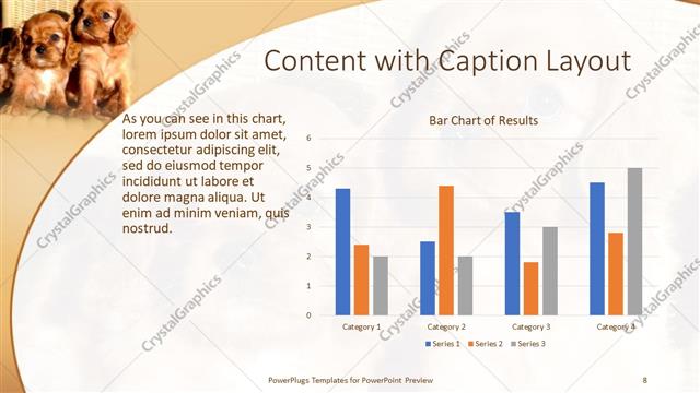 Content with Caption presentation slide layout