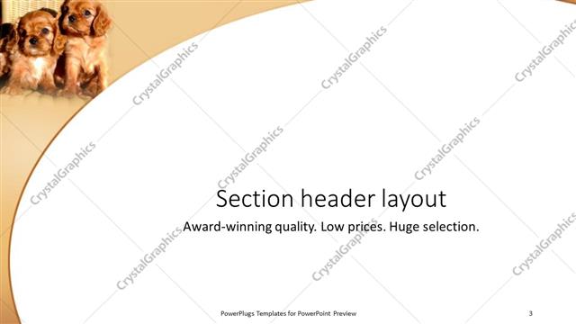 Section Header presentation slide layout