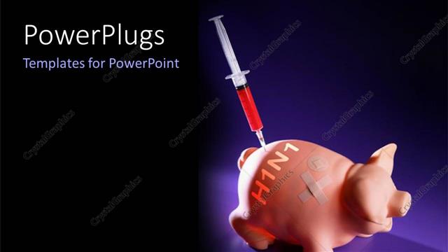  Presentation with vaccination - A pig ggang  injection and bluish background